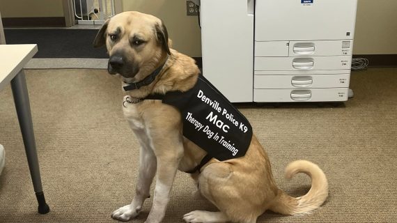 Mac Was More Than a Therapy Dog, He Became Part of the Denville Police Family